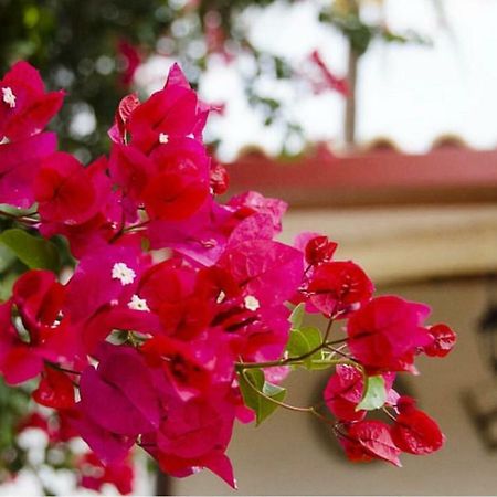 Molino La Boticaria Hotel Marchena  Ngoại thất bức ảnh